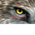 The Diffi Cult