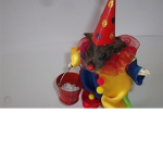 Clowns Rat