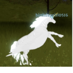 Unicorns and rainbows studios