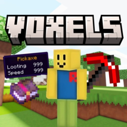 Voxels