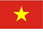 Team player việt nam