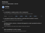 Not So Niche Games