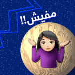 قروب فلاي [FlyTwo]