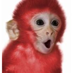 Red monk family tree