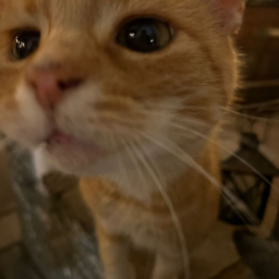 ⋆
