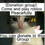 (DONATION GROUP) come and play roblox peacefully