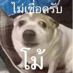 Kawaiidog Shop (4)