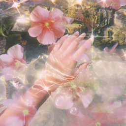 ୨୧⋆｡ d a l i $ a y homestore ୨୧⋆｡