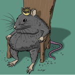 Rat kings family