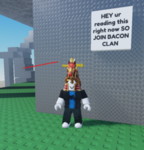 Bacon clan tco