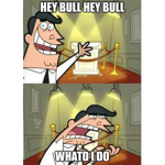 bull bull buddy group