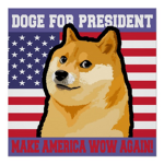 DOGE is on my team