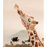 Little giraffes