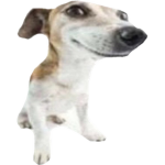 Squible Squable