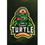 Turtle Gaming!!!