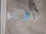 Goofy water group