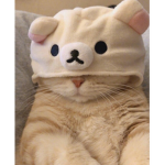 ShadowPlayz Roblox