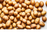 THE CULT OF POTATO MAN JIMMY