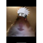 hhiigan