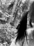 haunts group