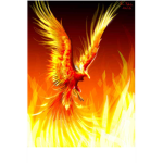 NF PHOENIX