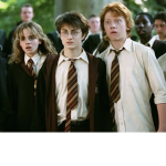 Harry Potter Only!