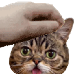 Cat hills