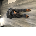 Snoop dog squad