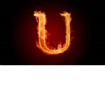 UziUsie Fan Club