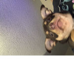 Lena and Coco’s fan group