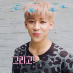 BamBam Fan Group