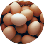 The Hatch Egg