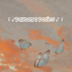 Payton’s Posies