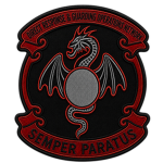 Direct Response & Guarding Operations Network