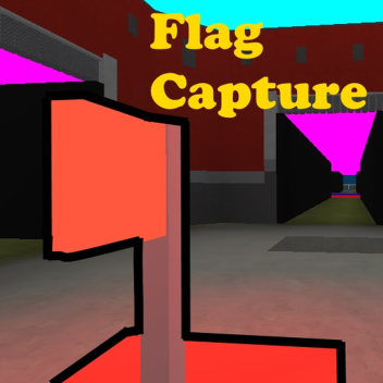 Flag Capture In Maze