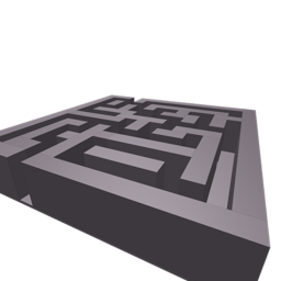 The maze