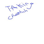 takingcheetah