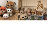 The Cats Fami1y