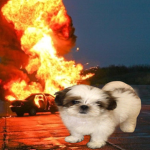 ChewyDoggy