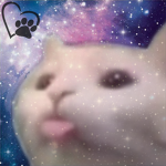 The Burrow del Gato Kawaii