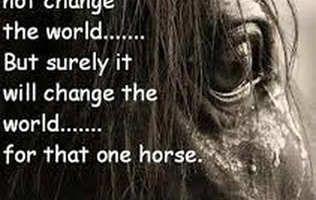 👑Grand Savior Stables👑