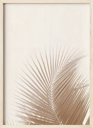 Plain Square Painting