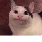 심심아심심