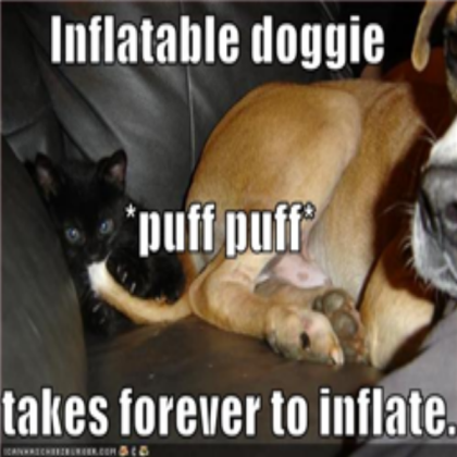 funny-pictures-kitten-inflates-an-inflatable-dog Roblox decal