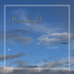 ☾ Moonlight ★