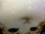 Princessriah202 emos