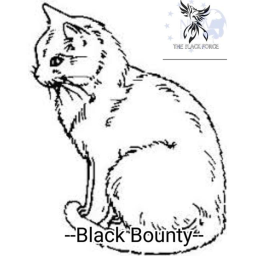 Sito Militare Londinese Black Bounty