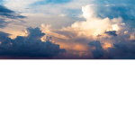 Cloudy_blissii