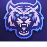 TigerGamingStudios