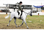 Pine Wood Acres Riding Stable